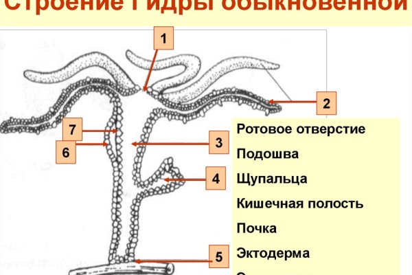 Браузер кракен