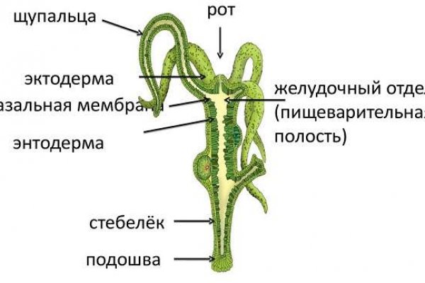 Даркнет площадки