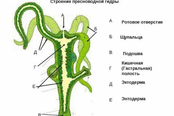 Kraken магазин