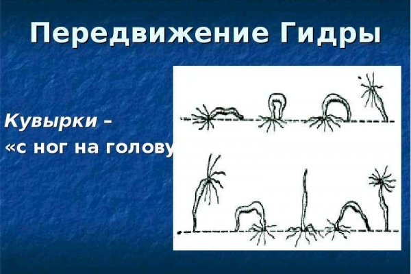 Кракен зеркало рабочее onion